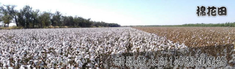 EPM地球保護材料生物可分解降解無毒環保塑膠材料原料-明鈦實業有限公司EPM生物分解生物降解環保塑膠材料低碳環保塑膠無毒塑膠塑化劑雙酚A明鈦塑膠